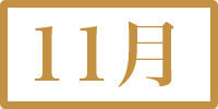 11月